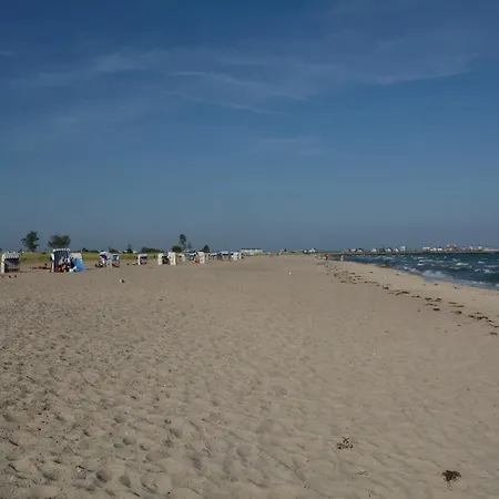 Wilbur Daire Olpenitz