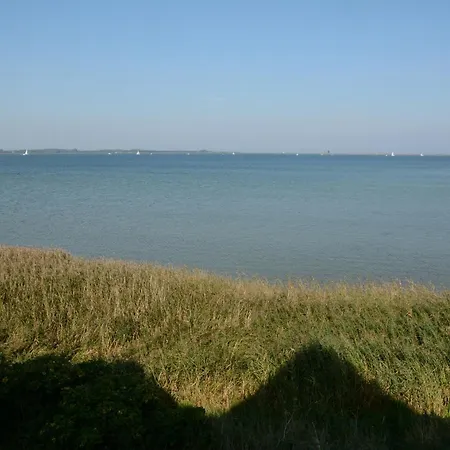 Wilbur Daire Olpenitz